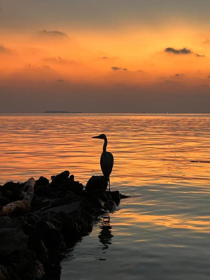 Raalhu Dhangethi Bed and Breakfast Esterno foto