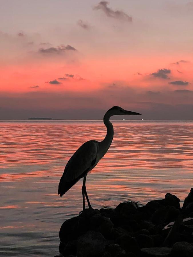 Raalhu Dhangethi Bed and Breakfast Esterno foto